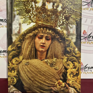 Lienzo María Santísima de la Esperanza