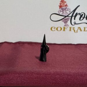 Pin Penitente Venerable orden tercera de Servitas