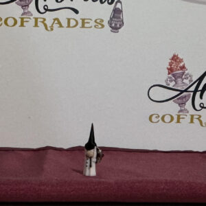 Pin Penitente Nuestro Padre Jesús Caído y María Santísima de los Desamparados