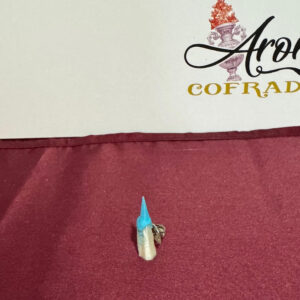 Pin Penitente María Santísima del Patrocinio