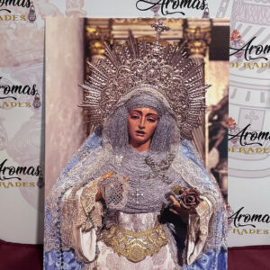 Lamina de María Santísima de los Desamparados