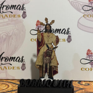 Iluminador Nuestro Padre Jesús de la Paz, Borriquita