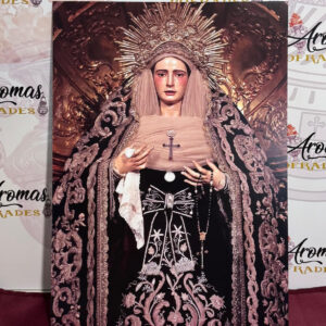 Lamina de Nuestra Señora de la Soledad